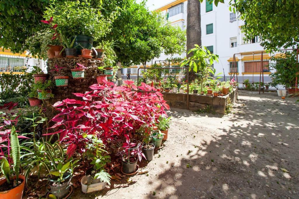 Apartamento A Los Pies Del Alcazar セビリア エクステリア 写真